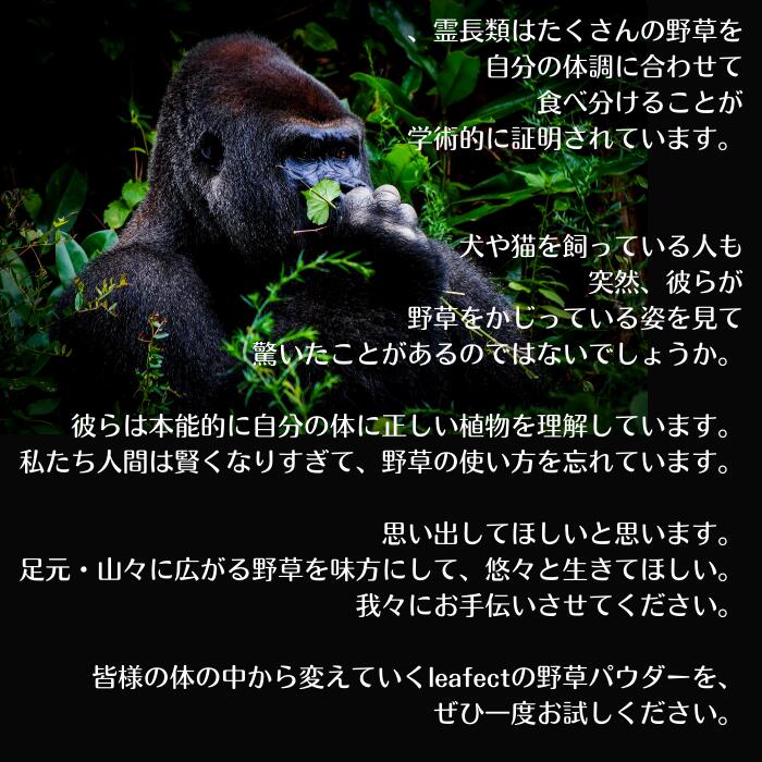 【岡山の抹茶 100g 】栽培期間中 農薬不使用!