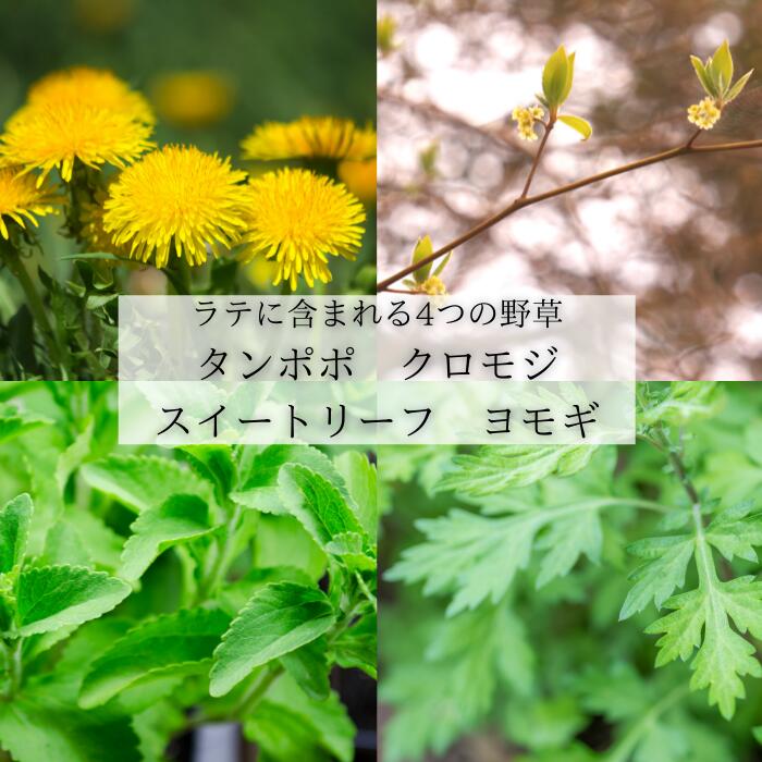 クリスマスギフト【 選べるぽかぽか薬膳パウダーティー&薬膳おやつセット】