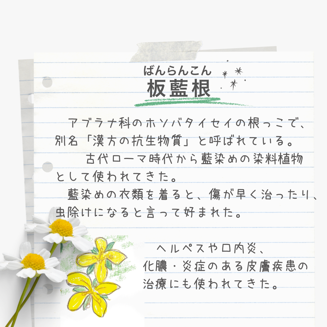 【セール！】バンランコンエキス　30日分